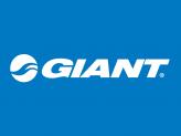GIANT