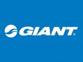 GIANT