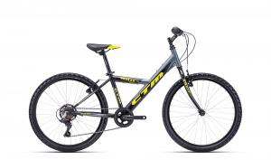 CTM WILLY 1.0 2022 matn siv / limetkov 14"