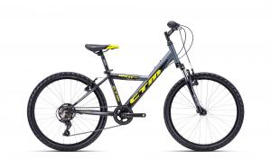 CTM WILLY 2.0 2022 matn siv / limetkov 14"