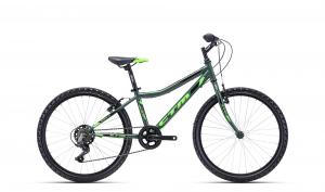 CTM BERRY 1.0 2022 chrmov zelen / limetkov 13"