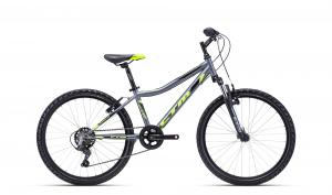 CTM BERRY 2.0 2022 matn siv / limetkov 13"