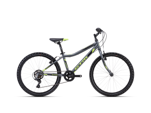 CTM BERRY 1.0 - matn siv / limetkov 13" 2023