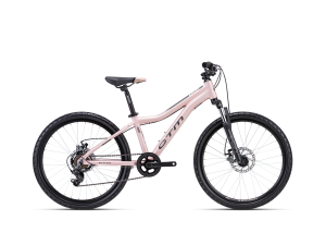 CTM ROCKY 3.0 - matn svetloruov 13" 2023