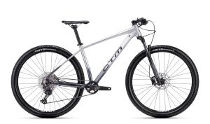 CTM RASCAL 1.0 29 - strieborn / siv L (20