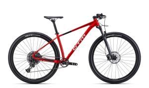 CTM RASCAL 1.0 29