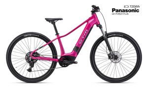 CTM RUBY GX 29 - matn� ru�ov� L (18) 2026 (170-190cm)