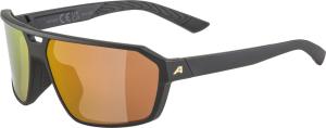 Alpina Okuliare SWIFT black-gold matt