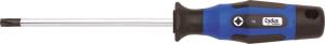 CYCLUS CYCLUS TOOLS screwdriver TX 25x100 black tip, multicomponent handle