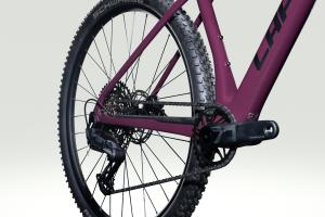 Obr�zok_(5)